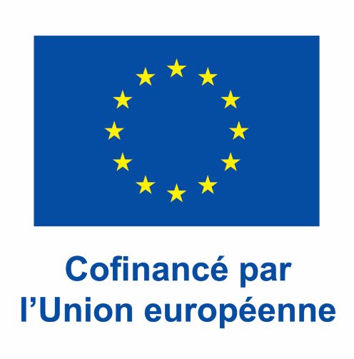 Logo UE position verticale