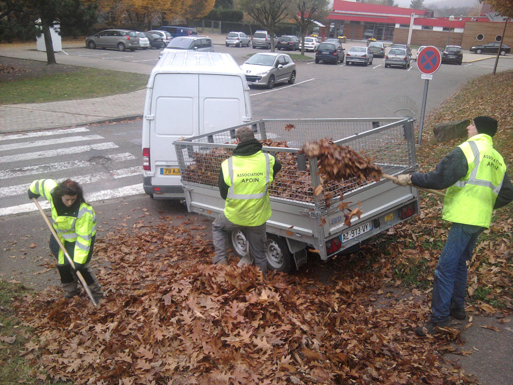 Ramassage de feuilles